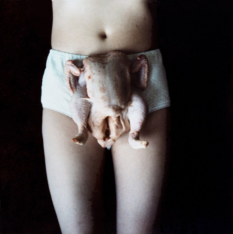 Chicken Knickers by Sarah Lucas